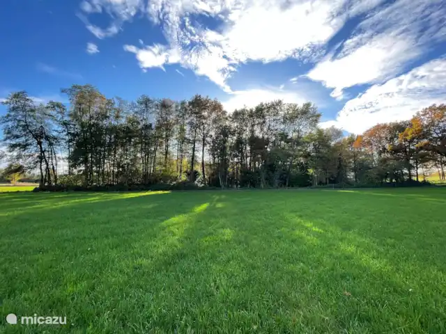 Herfstfoto eigen bos